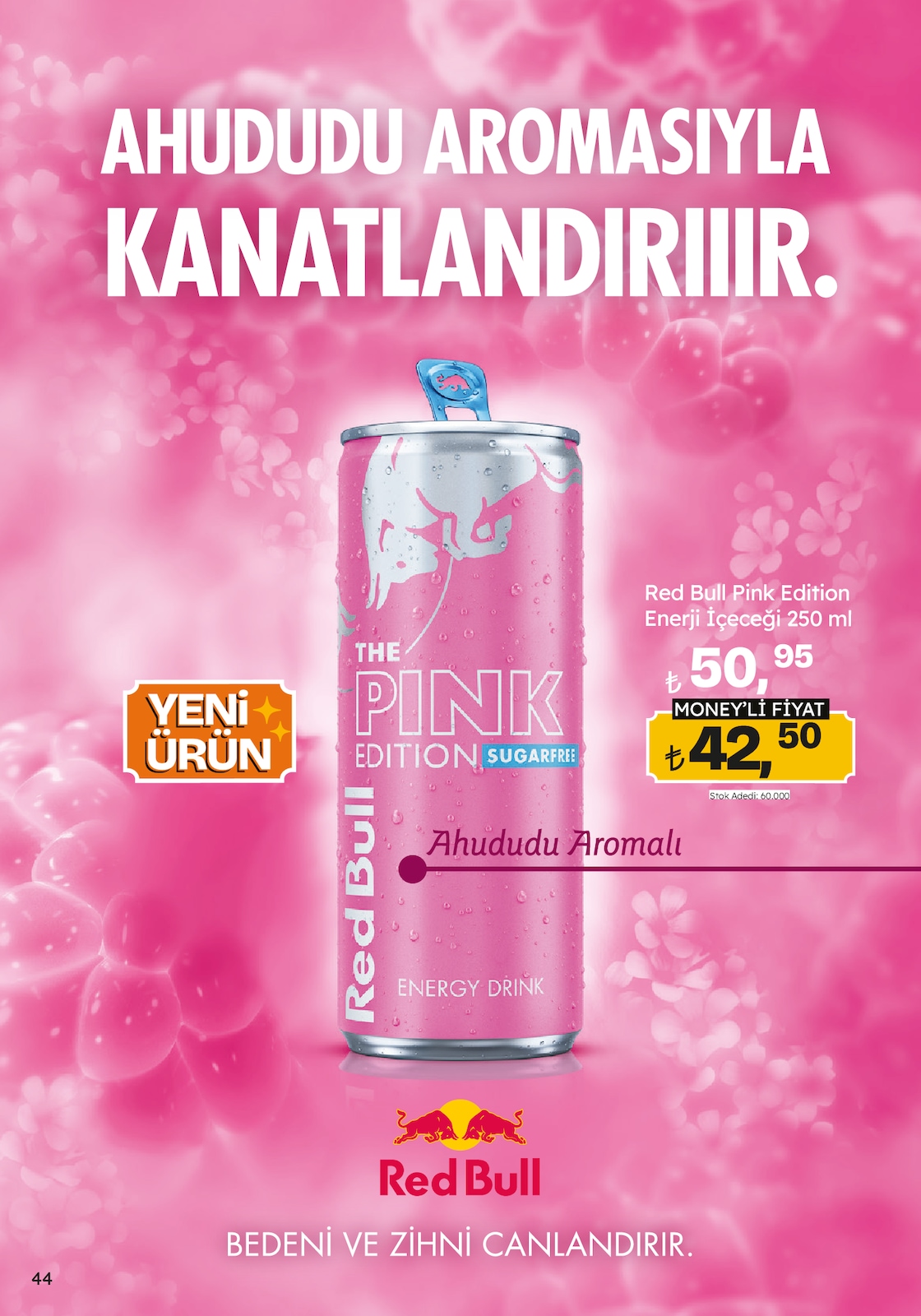 Migroskop Broşürü - Sayfa 44