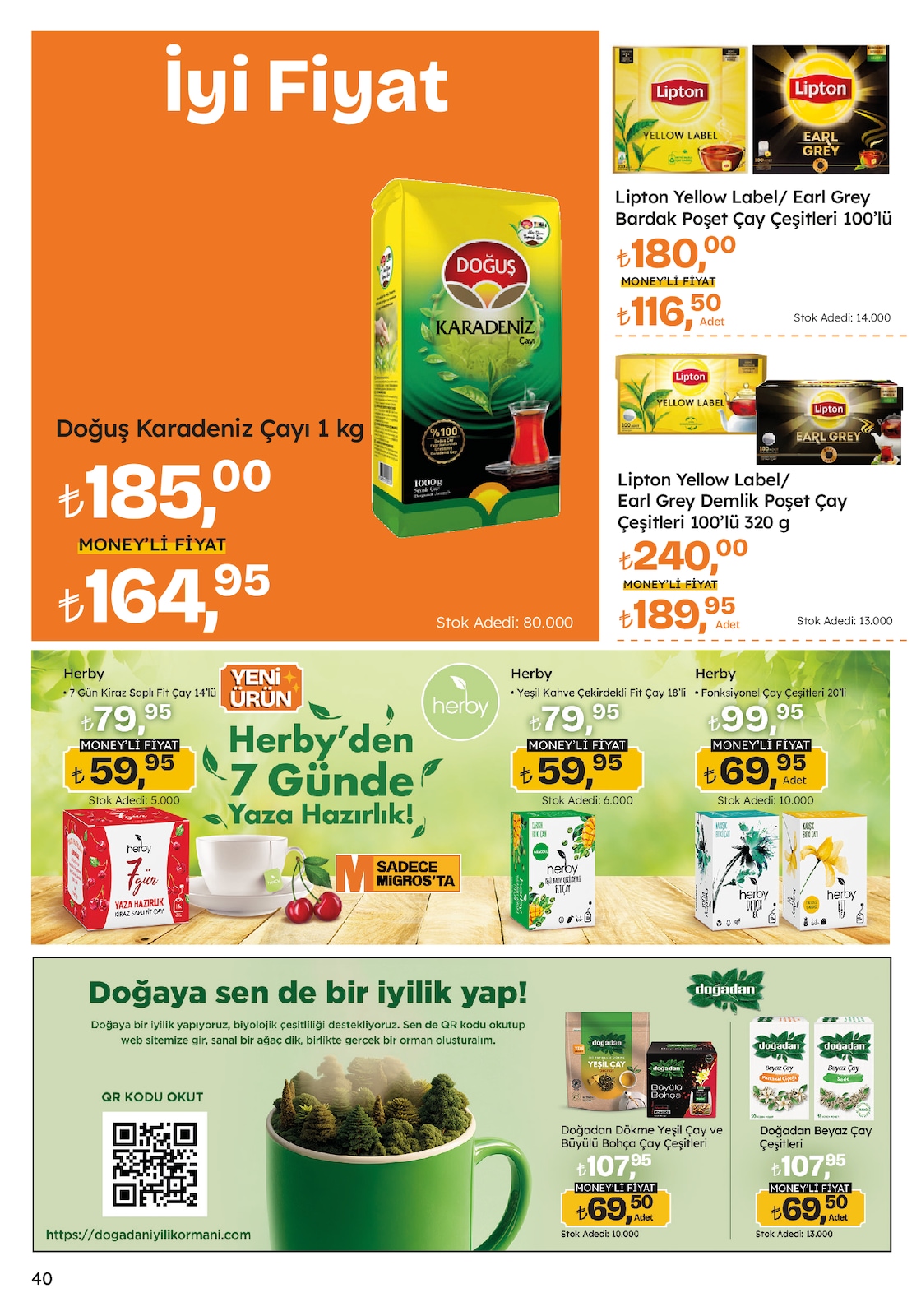 Migroskop Broşürü - Sayfa 40