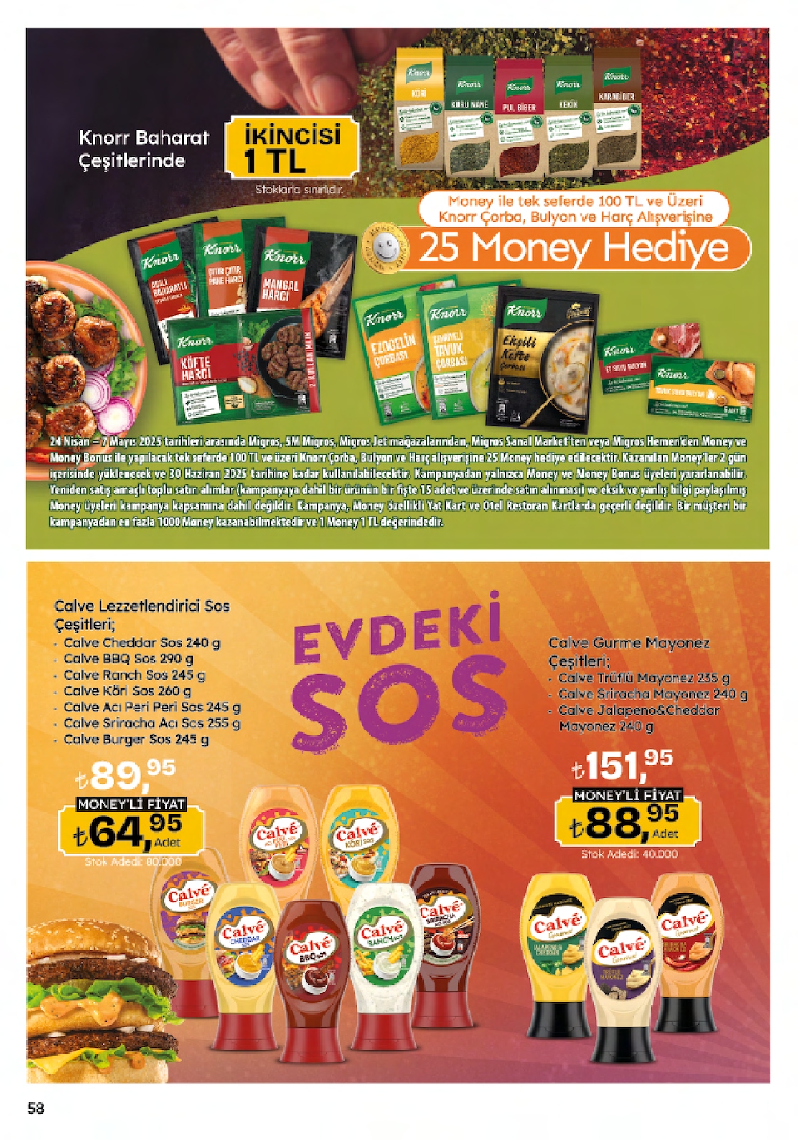 5M Migroskop Broşürü - Sayfa 58
