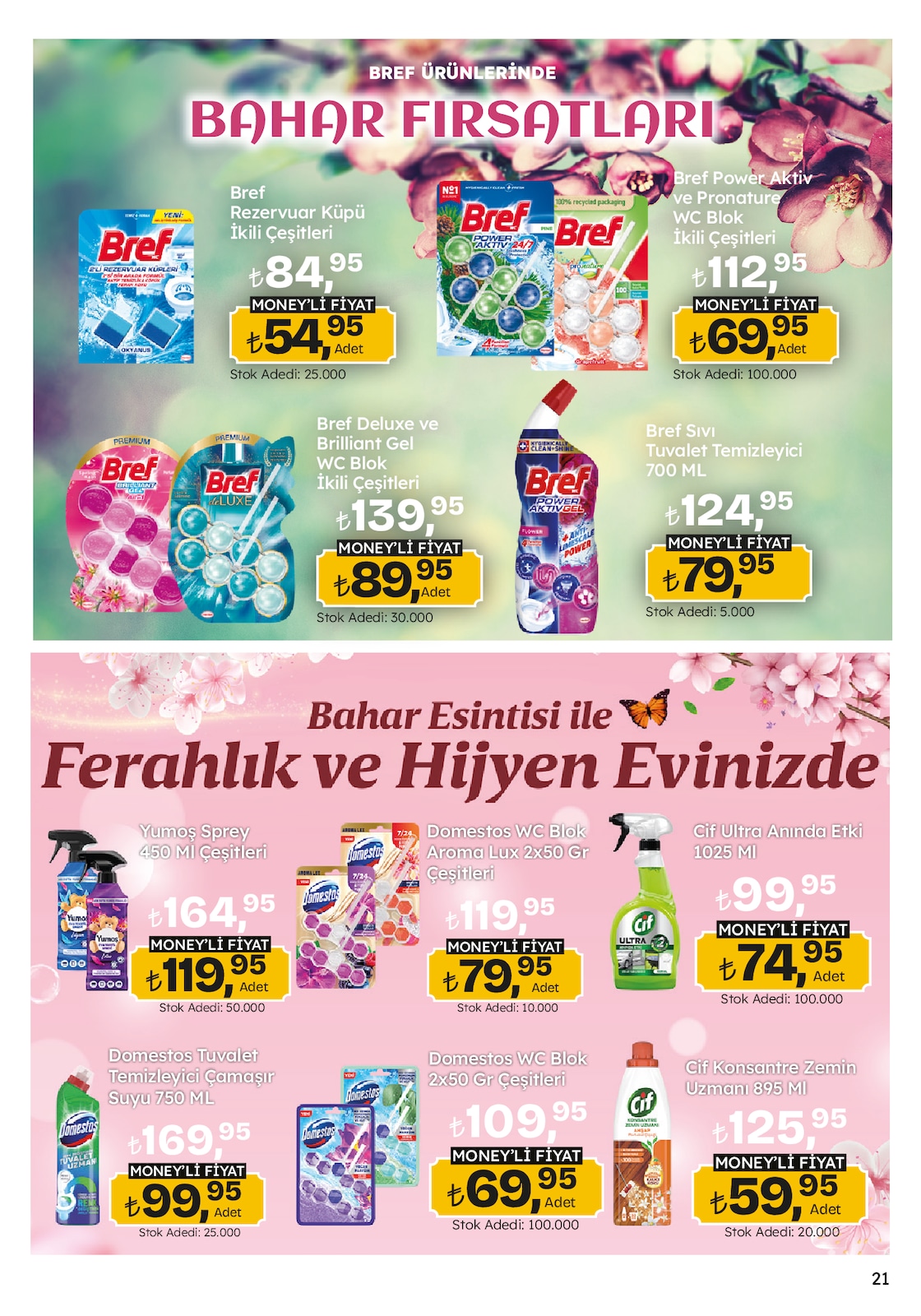 Migroskop Broşürü - Sayfa 21