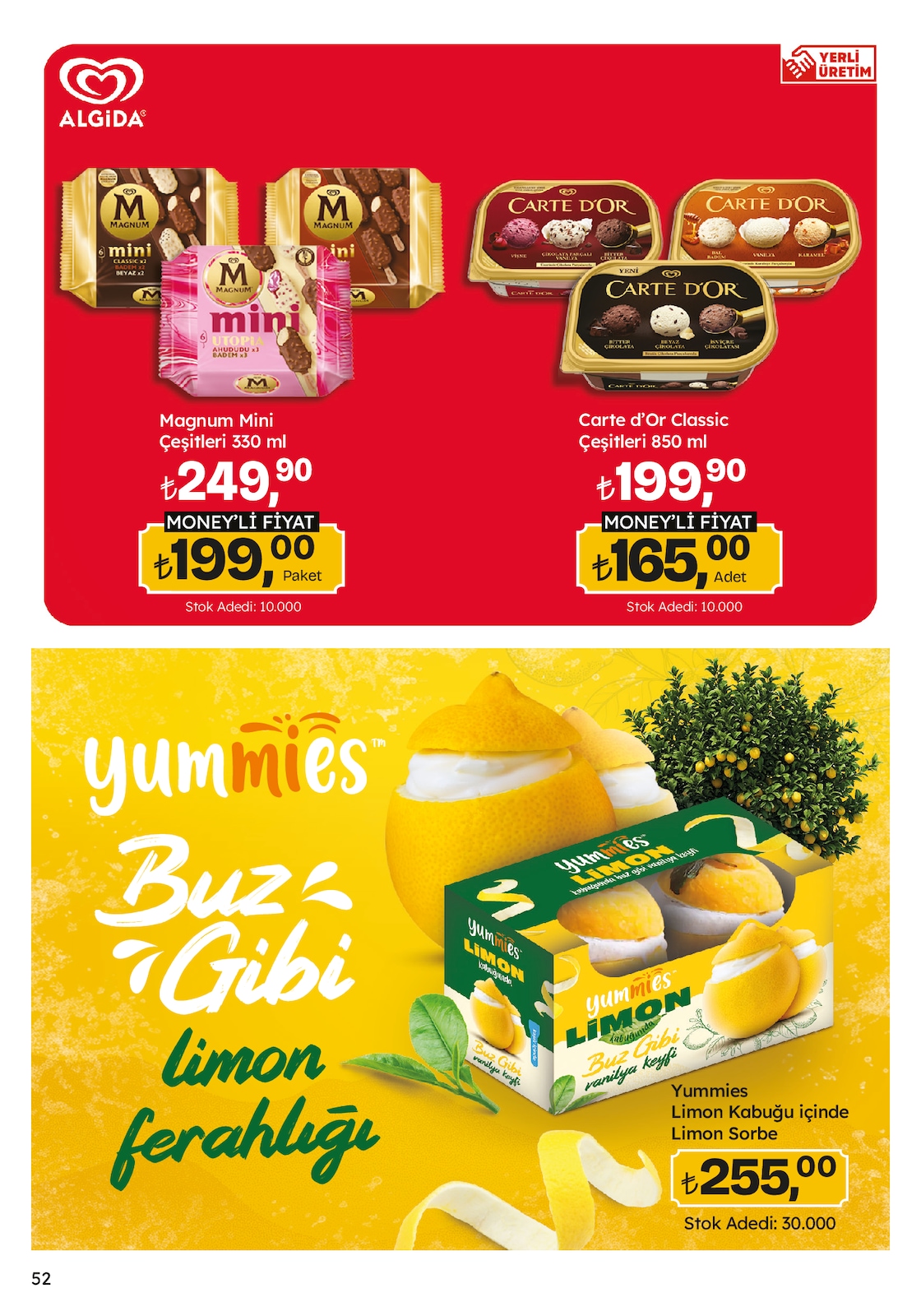 Migroskop Broşürü - Sayfa 52