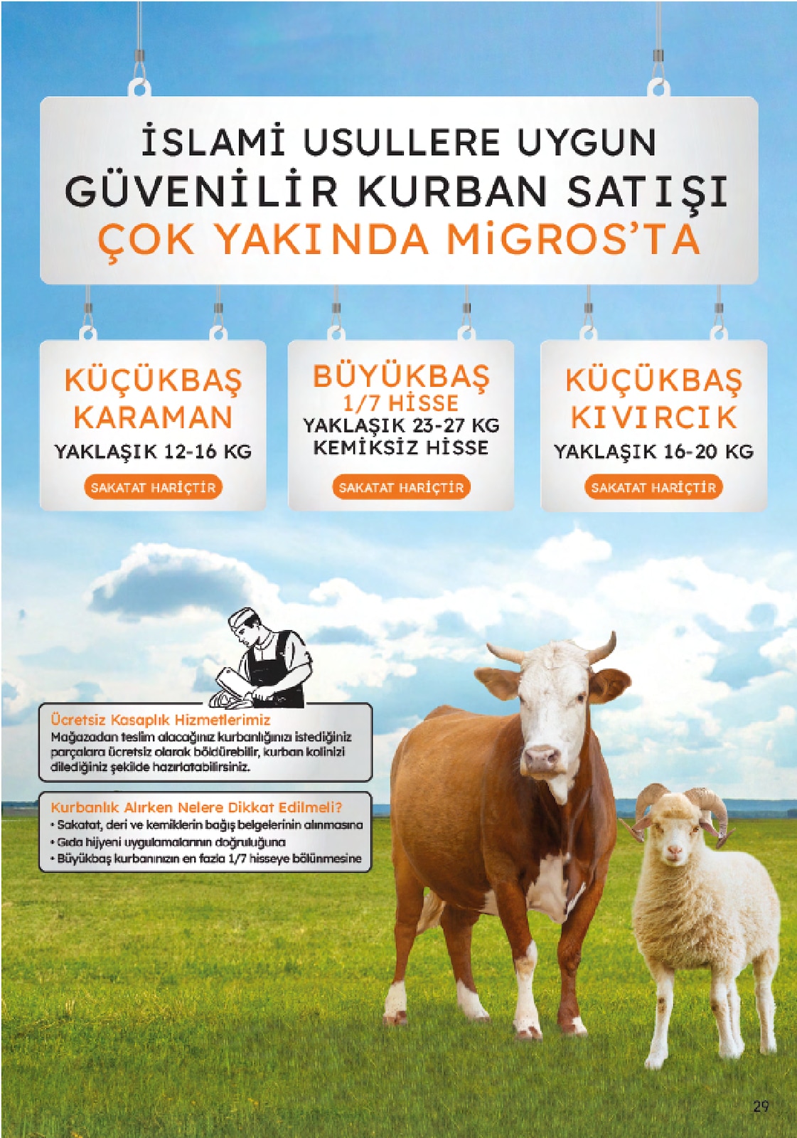 5M Migroskop Broşürü - Sayfa 29