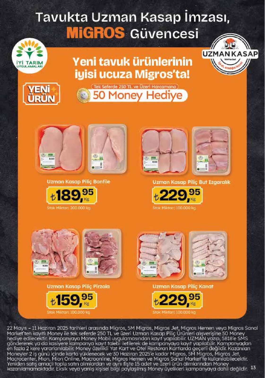 5M Migroskop Broşürü - Sayfa 13