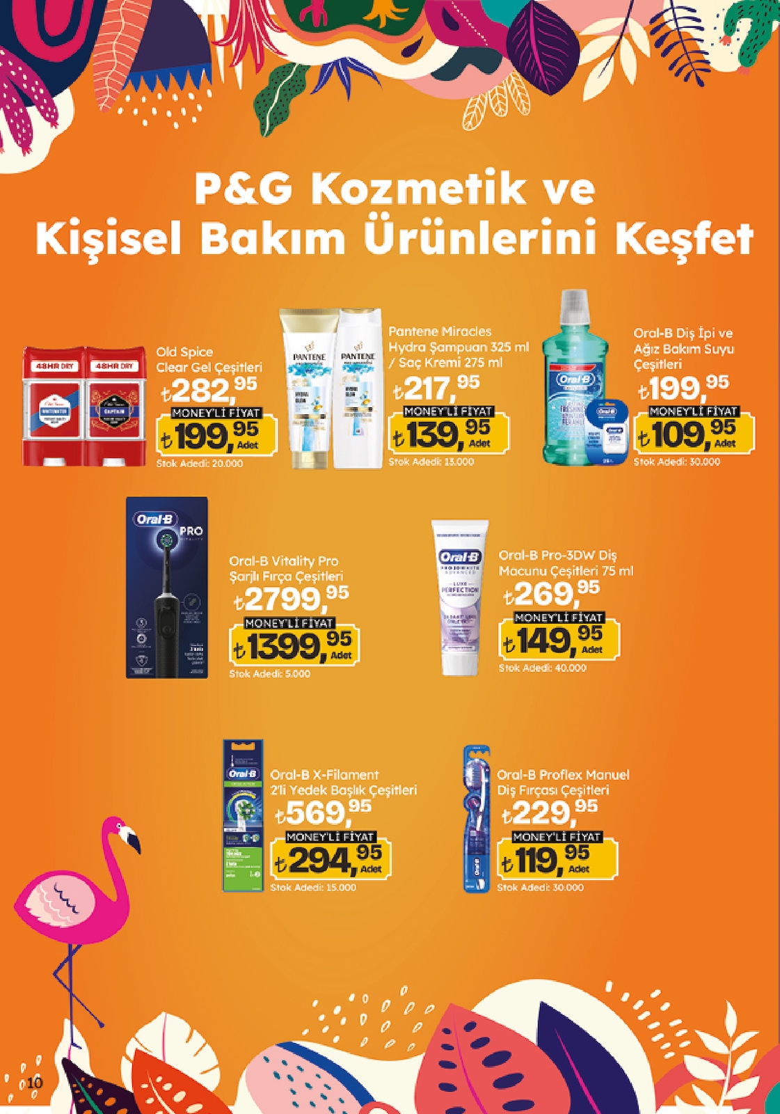 Migroskop Broşürü - Sayfa 10