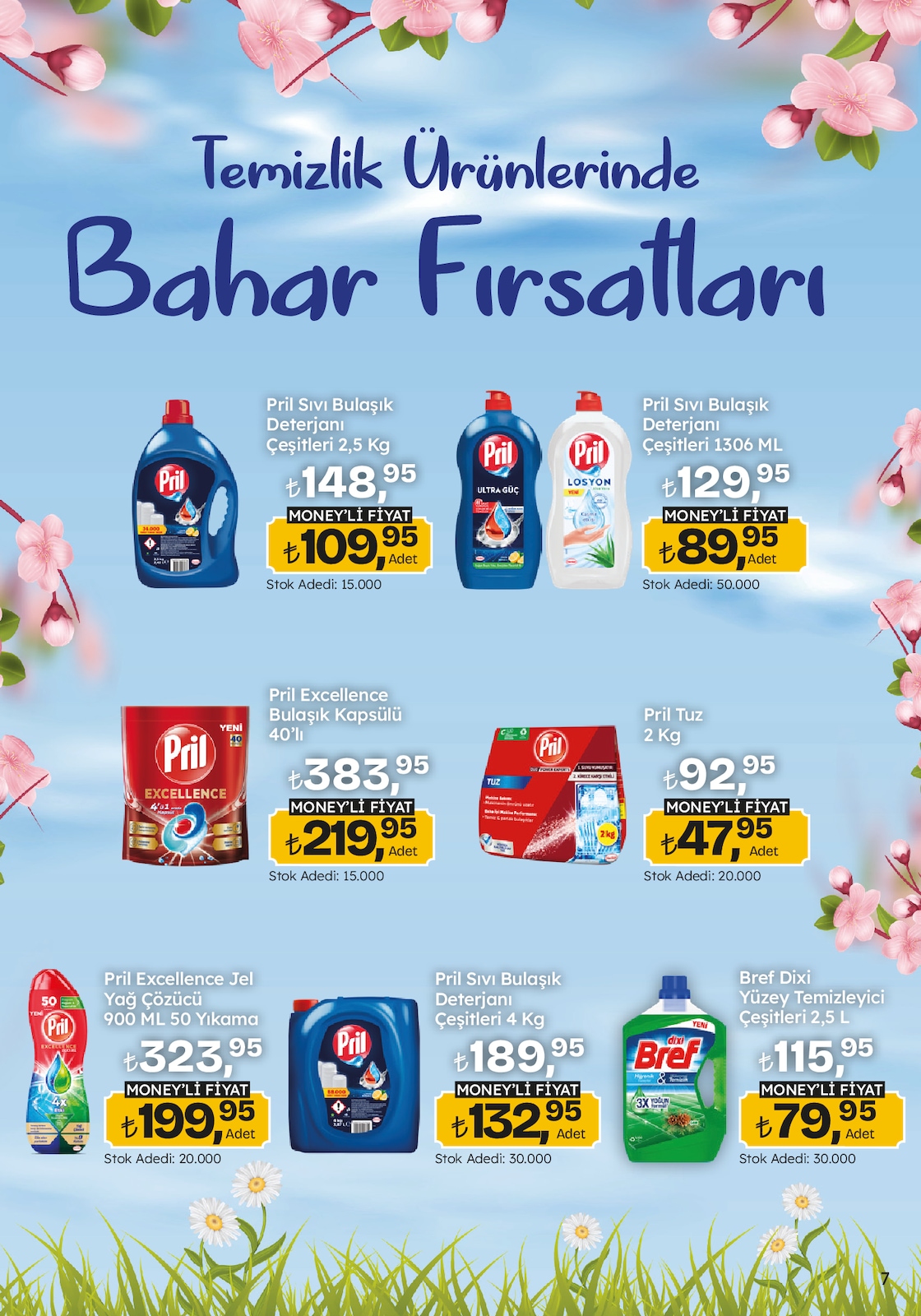 Migroskop Broşürü - Sayfa 7