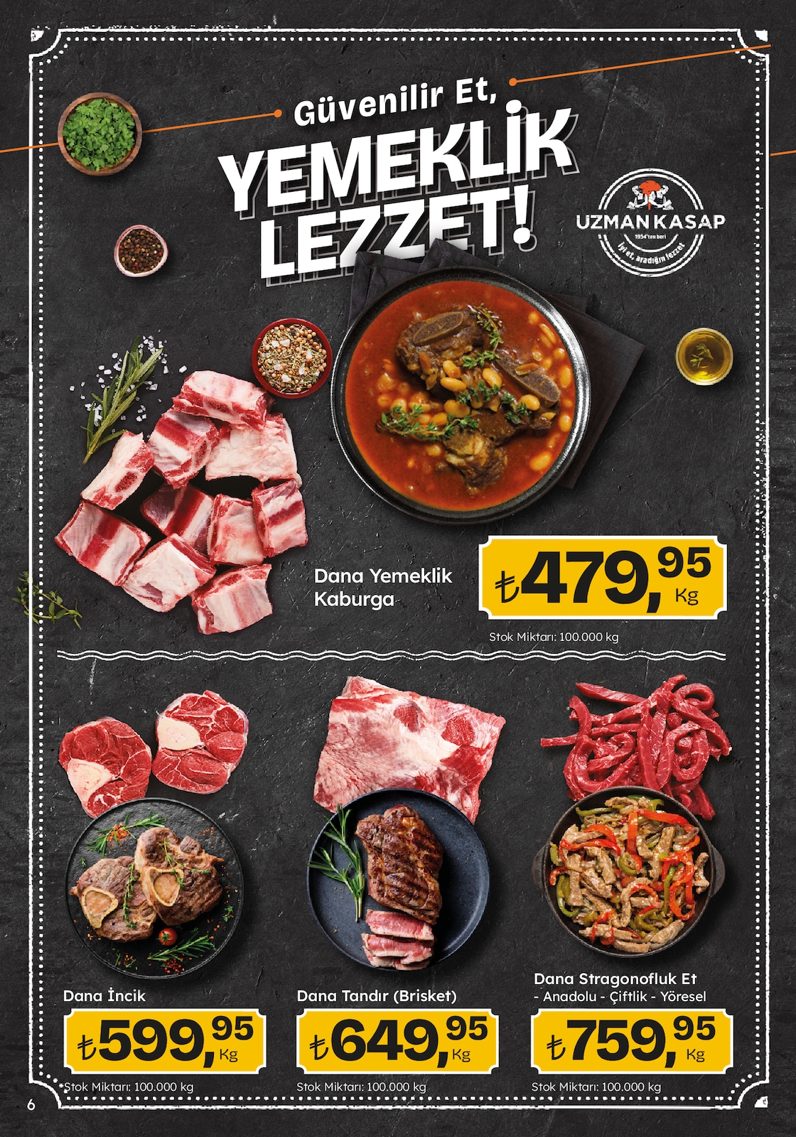 Migroskop Broşürü - Sayfa 6