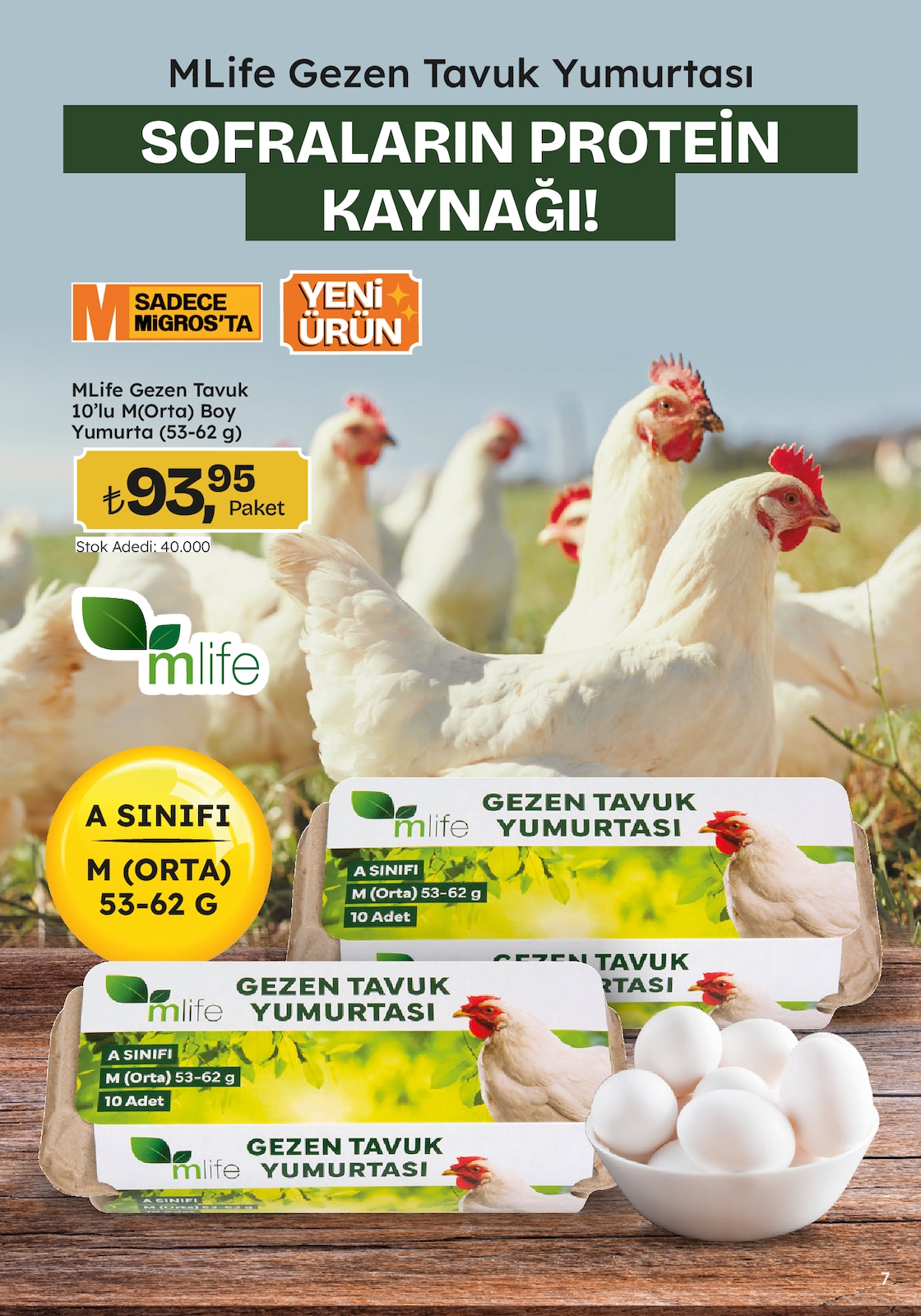 Migroskop Broşürü - Sayfa 7