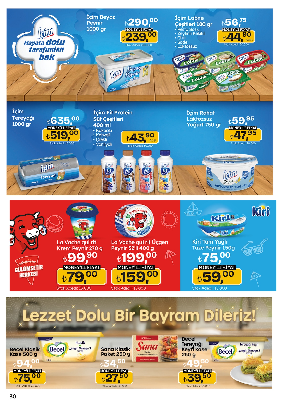 Migroskop Broşürü - Sayfa 30
