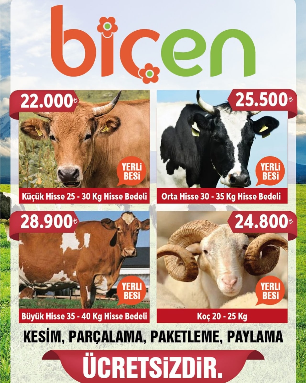 Kurbanlık - Sayfa 1
