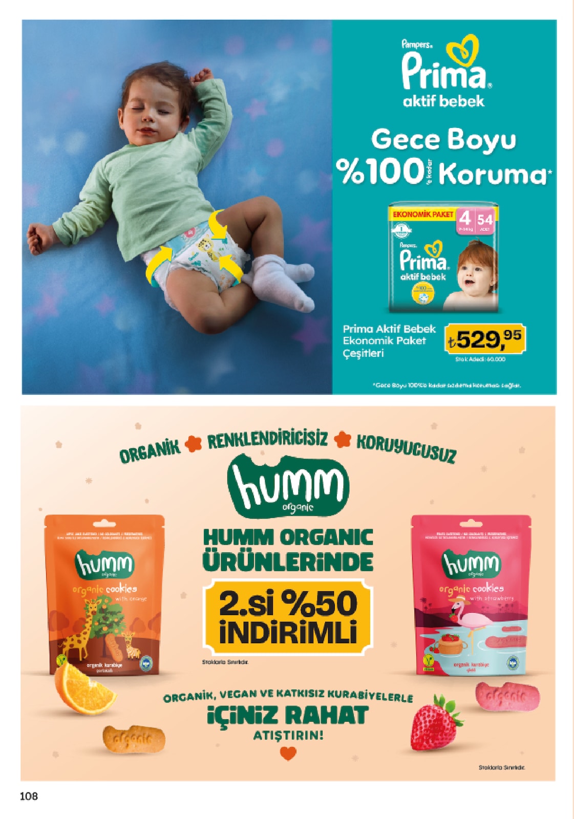 Migroskop Broşürü - Sayfa 108