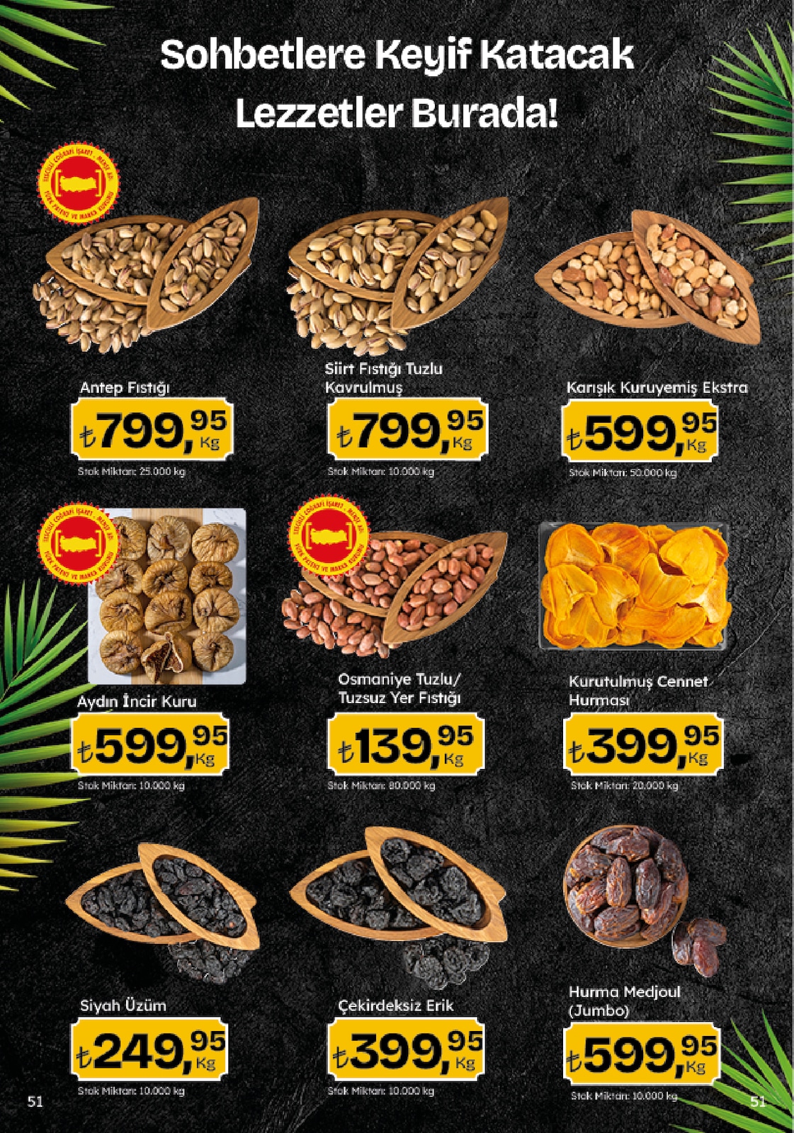 Migroskop Broşürü - Sayfa 51