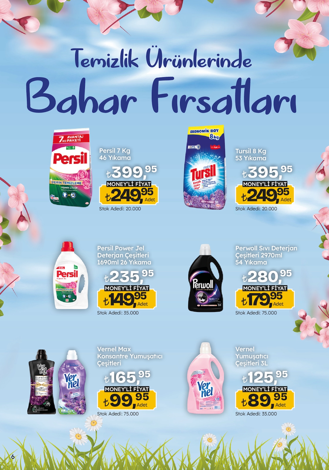Migroskop Broşürü - Sayfa 6
