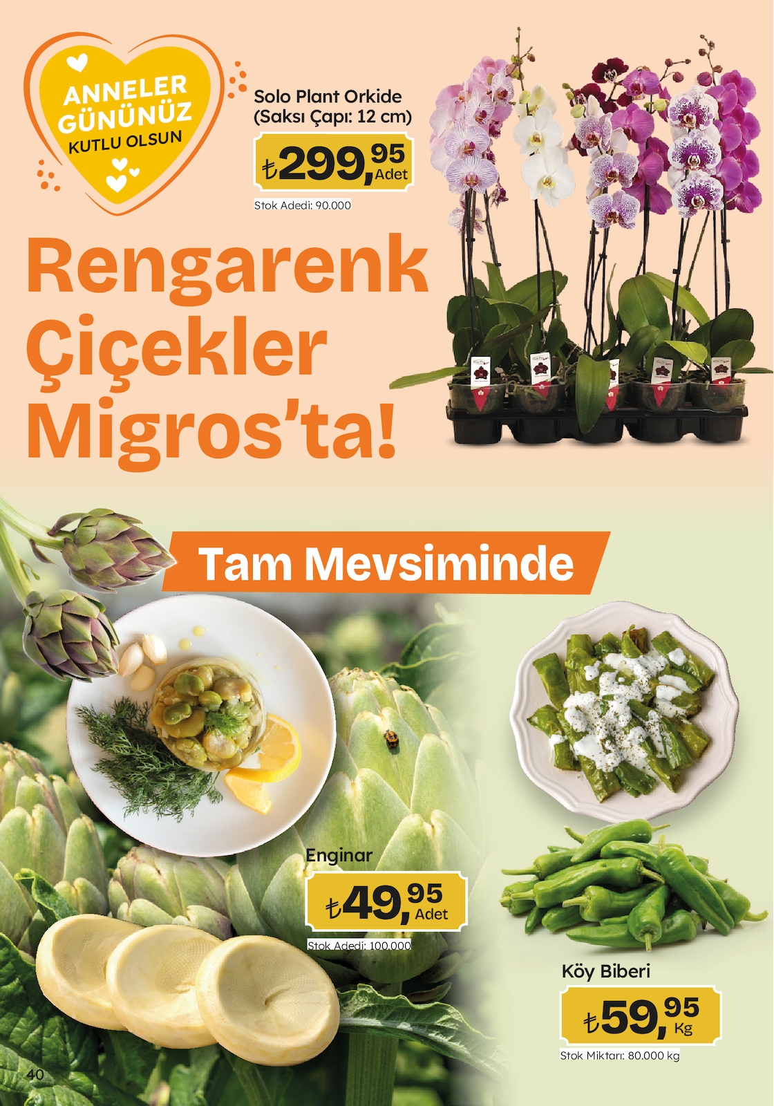 Migroskop Broşürü - Sayfa 40
