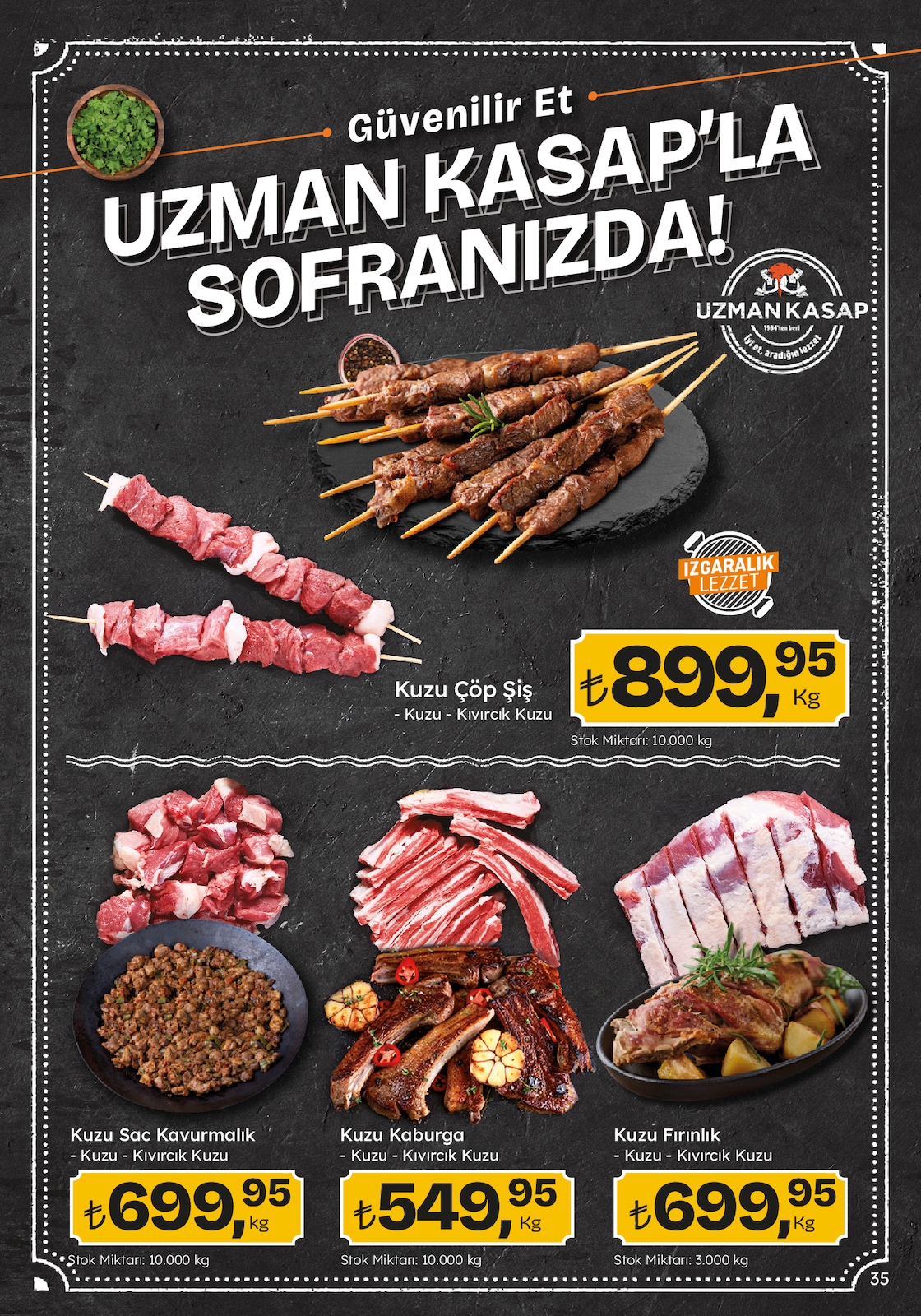 Migroskop Broşürü - Sayfa 35