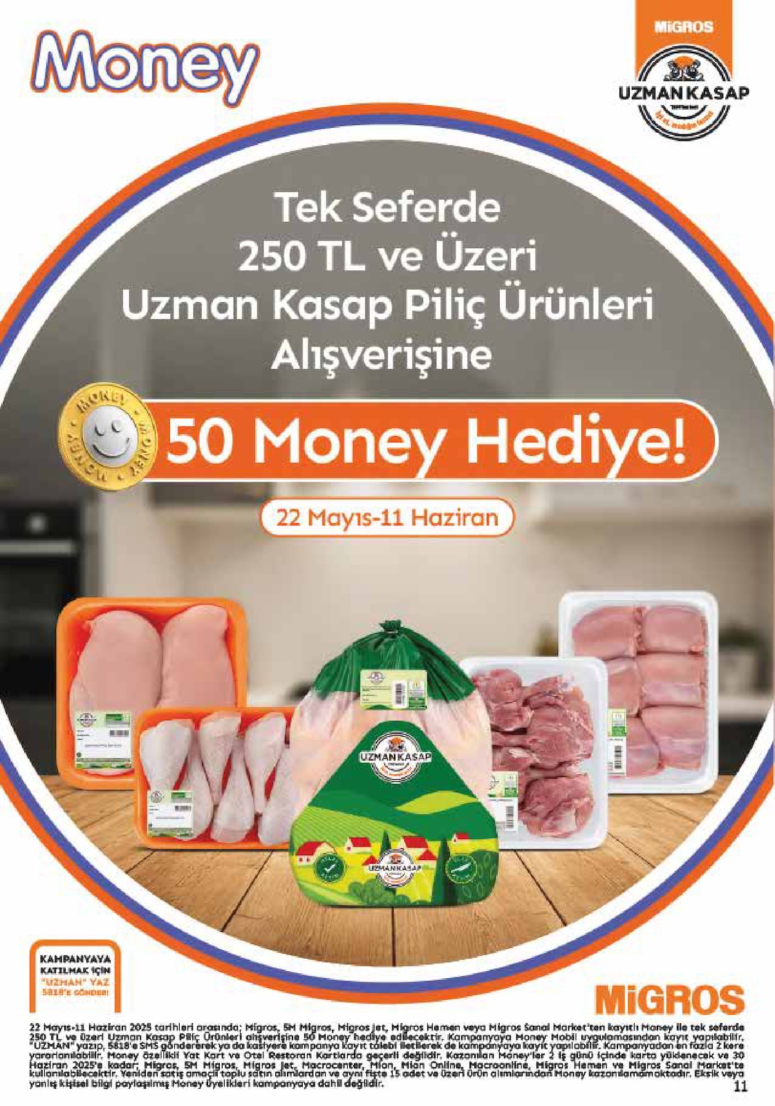 5M Migroskop Broşürü - Sayfa 11