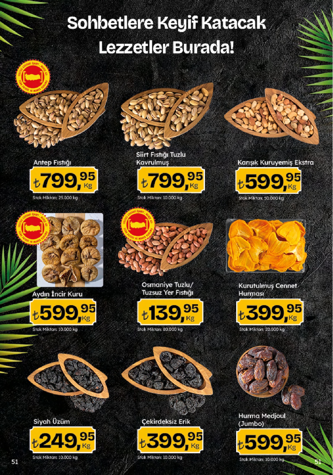 5M Migroskop Broşürü - Sayfa 51