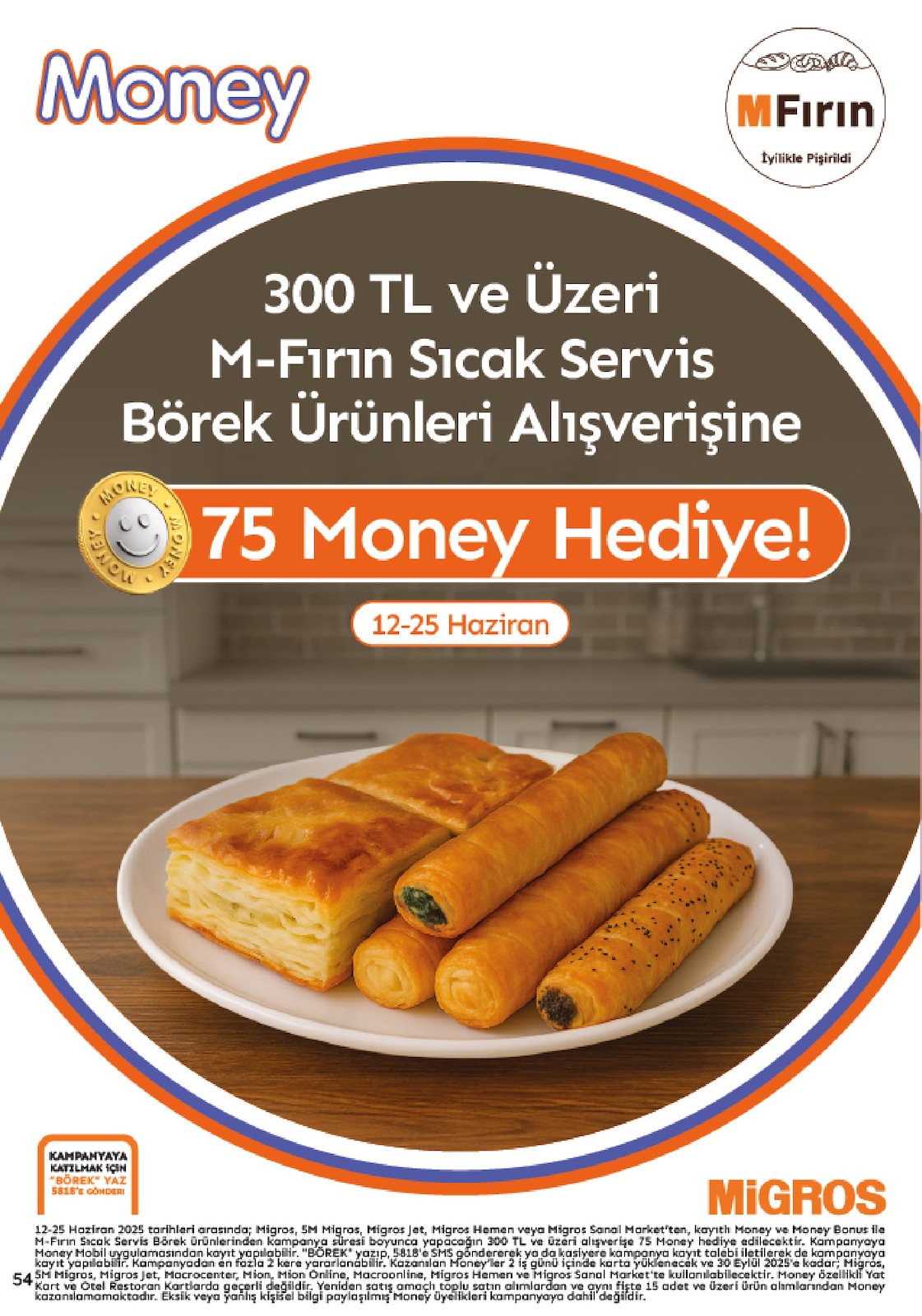 Migroskop Broşürü - Sayfa 54