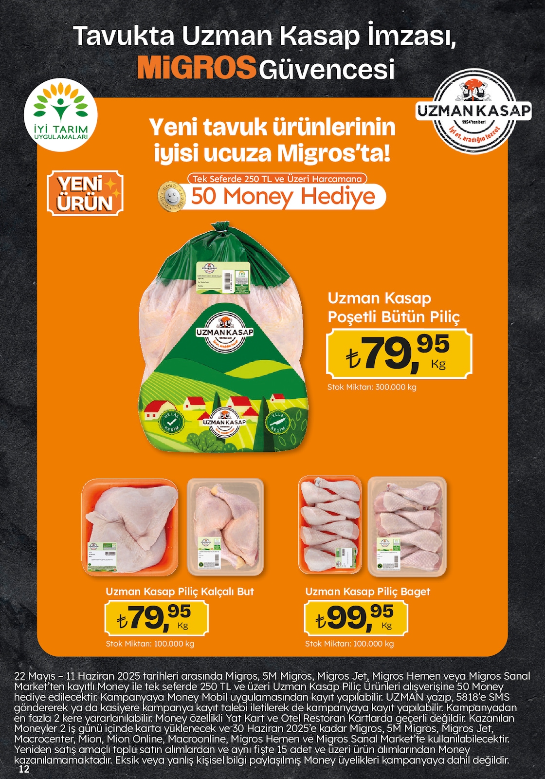 Migroskop Broşürü - Sayfa 12