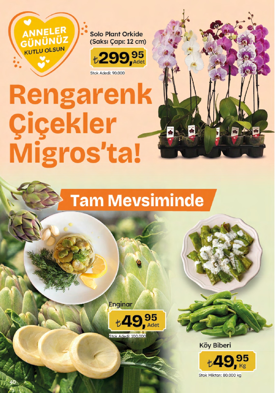 5M Migroskop Broşürü - Sayfa 40