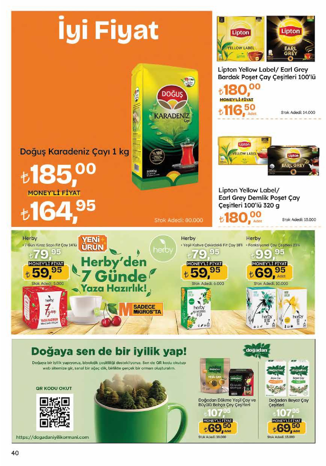 5M Migroskop Broşürü - Sayfa 40