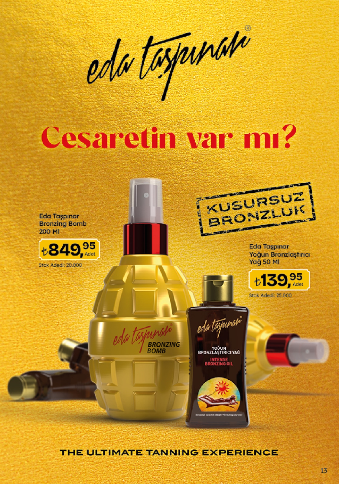 Migroskop Broşürü - Sayfa 13
