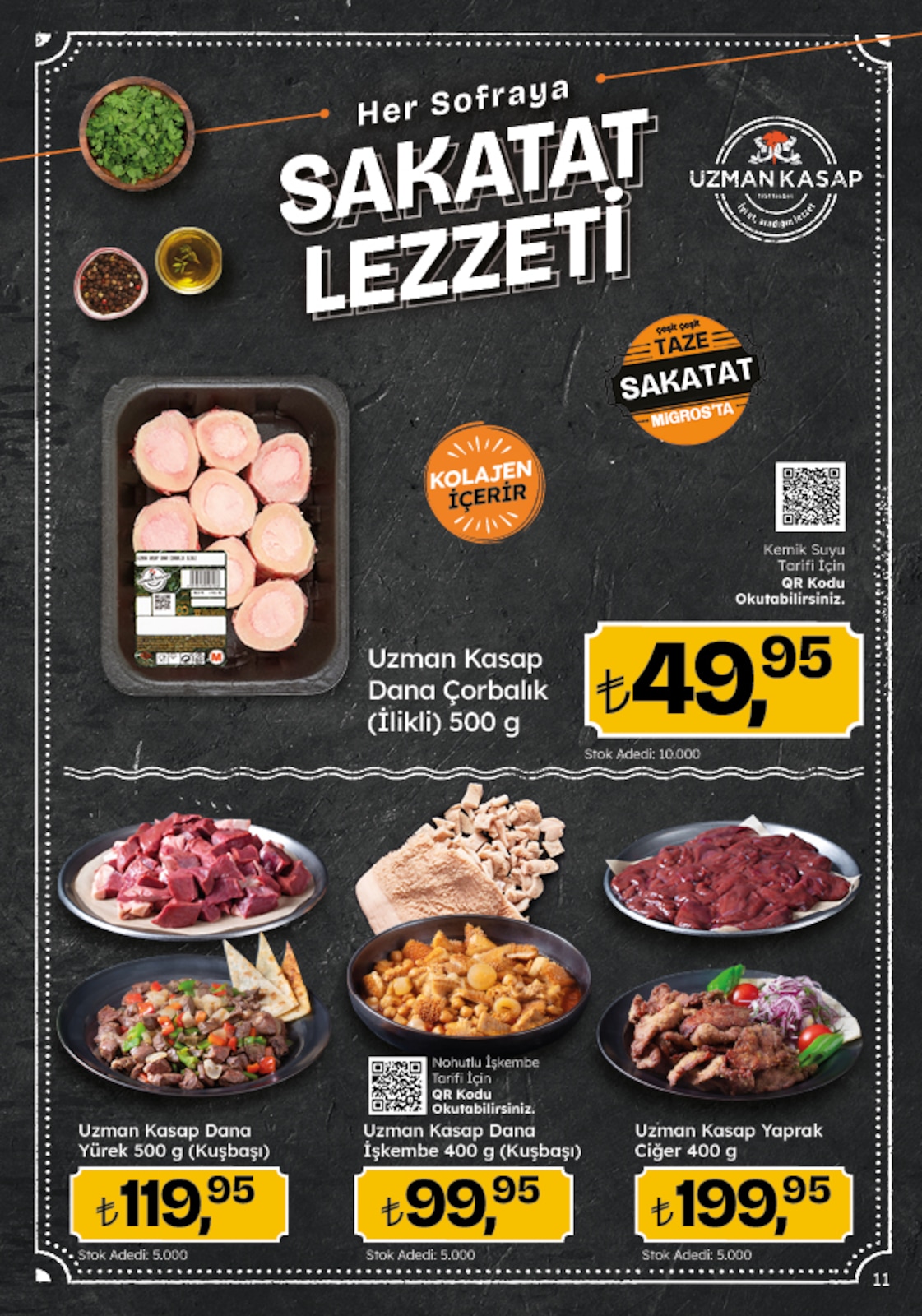 Migroskop Broşürü - Sayfa 11