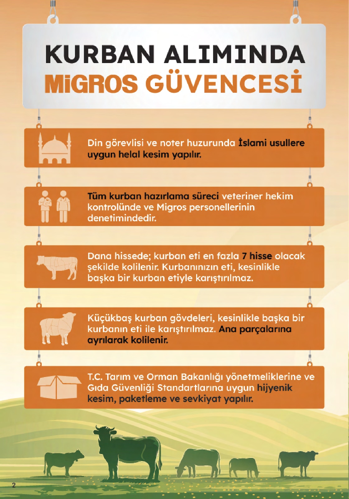 5M Migroskop Ürünleri - Sayfa 2
