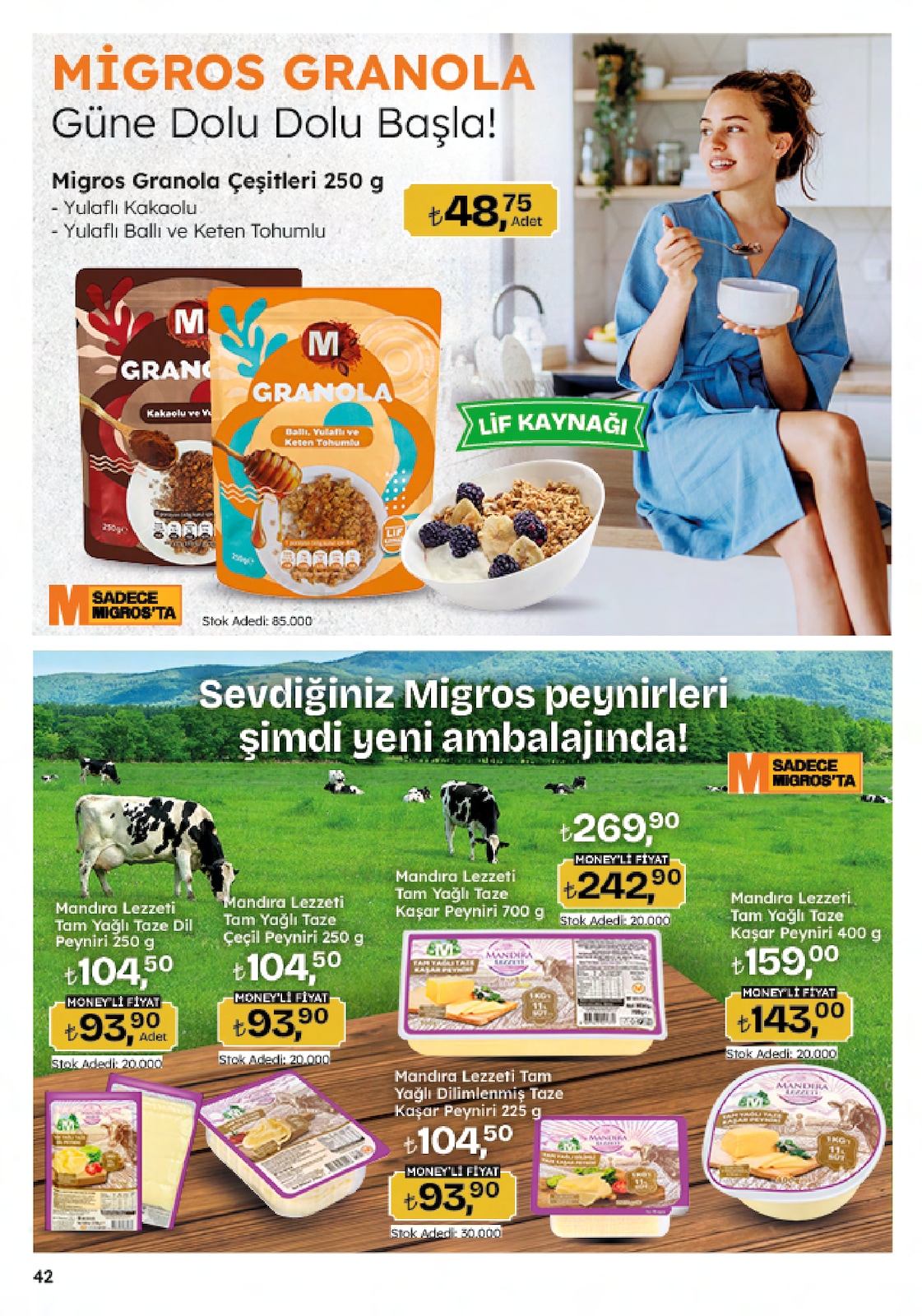 5M Migroskop Broşürü - Sayfa 42
