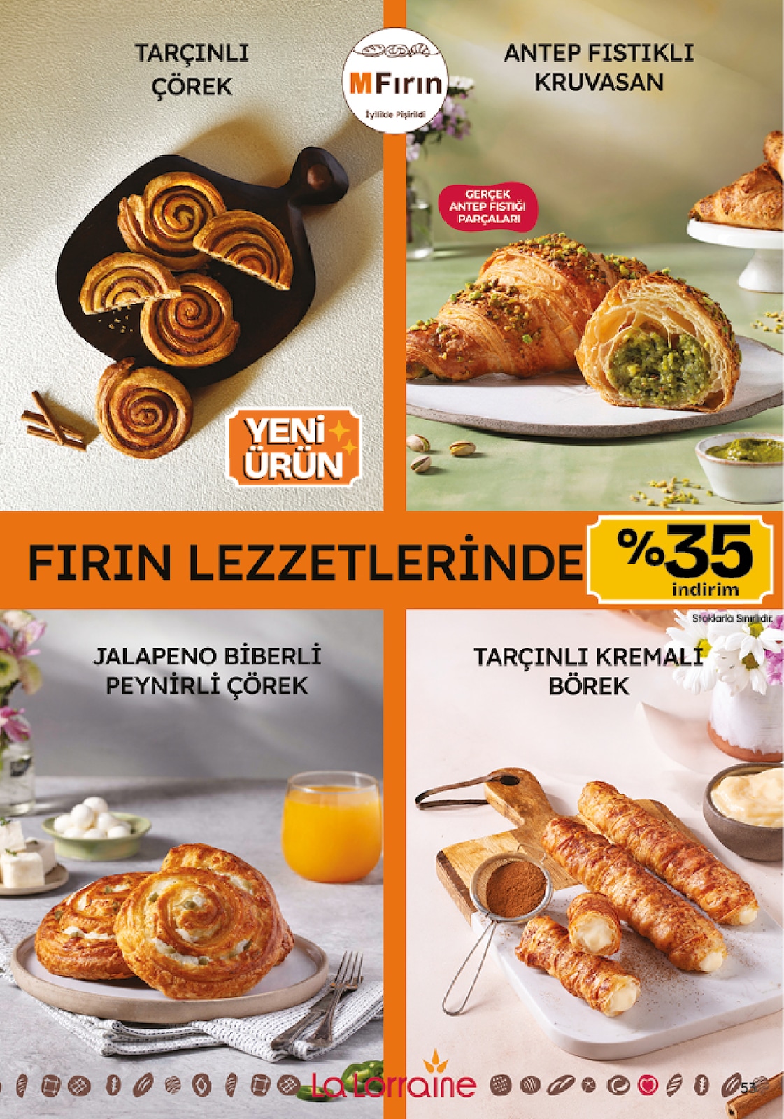Migroskop Broşürü - Sayfa 53