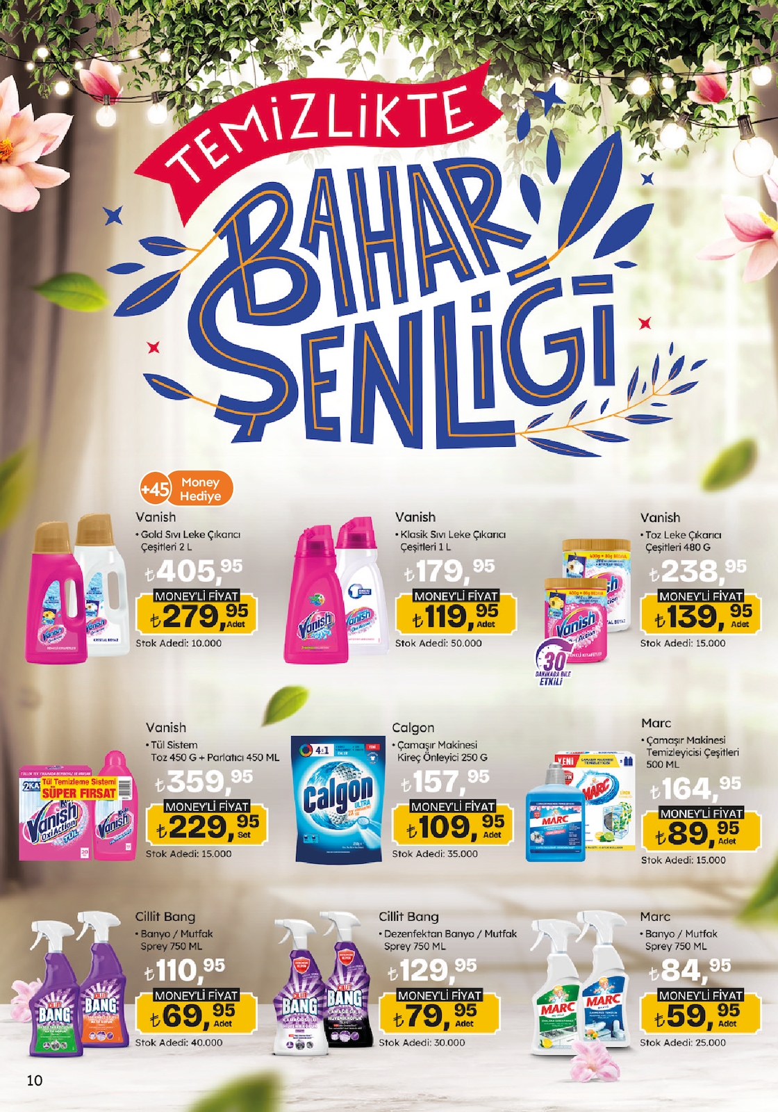 Migroskop Broşürü - Sayfa 10