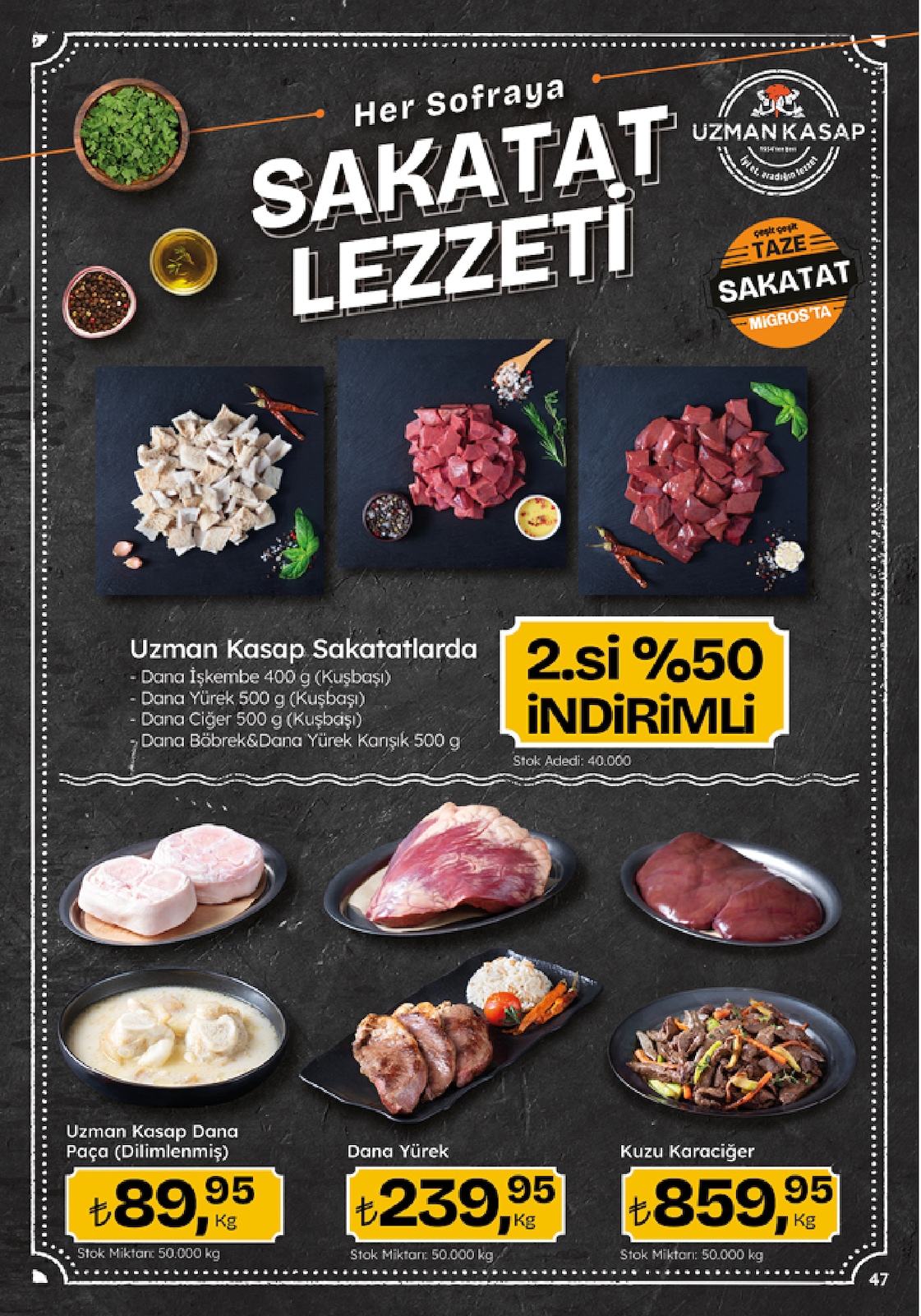 Migroskop Broşürü - Sayfa 47