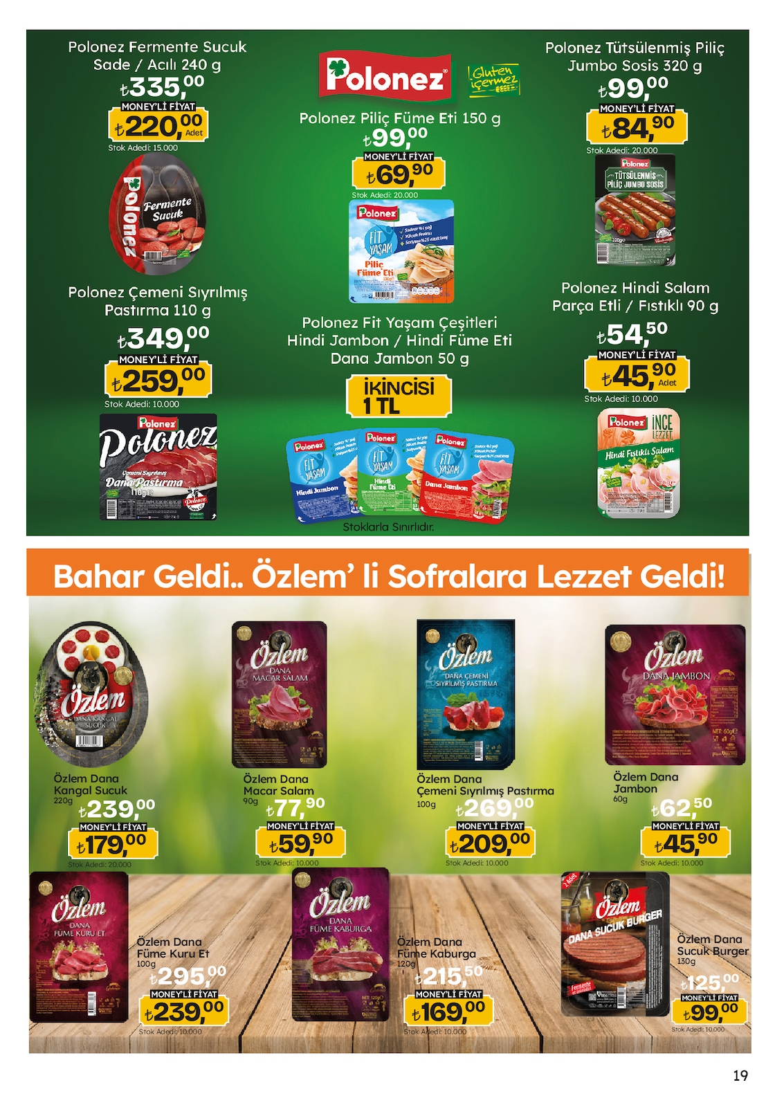 Migroskop Broşürü - Sayfa 19