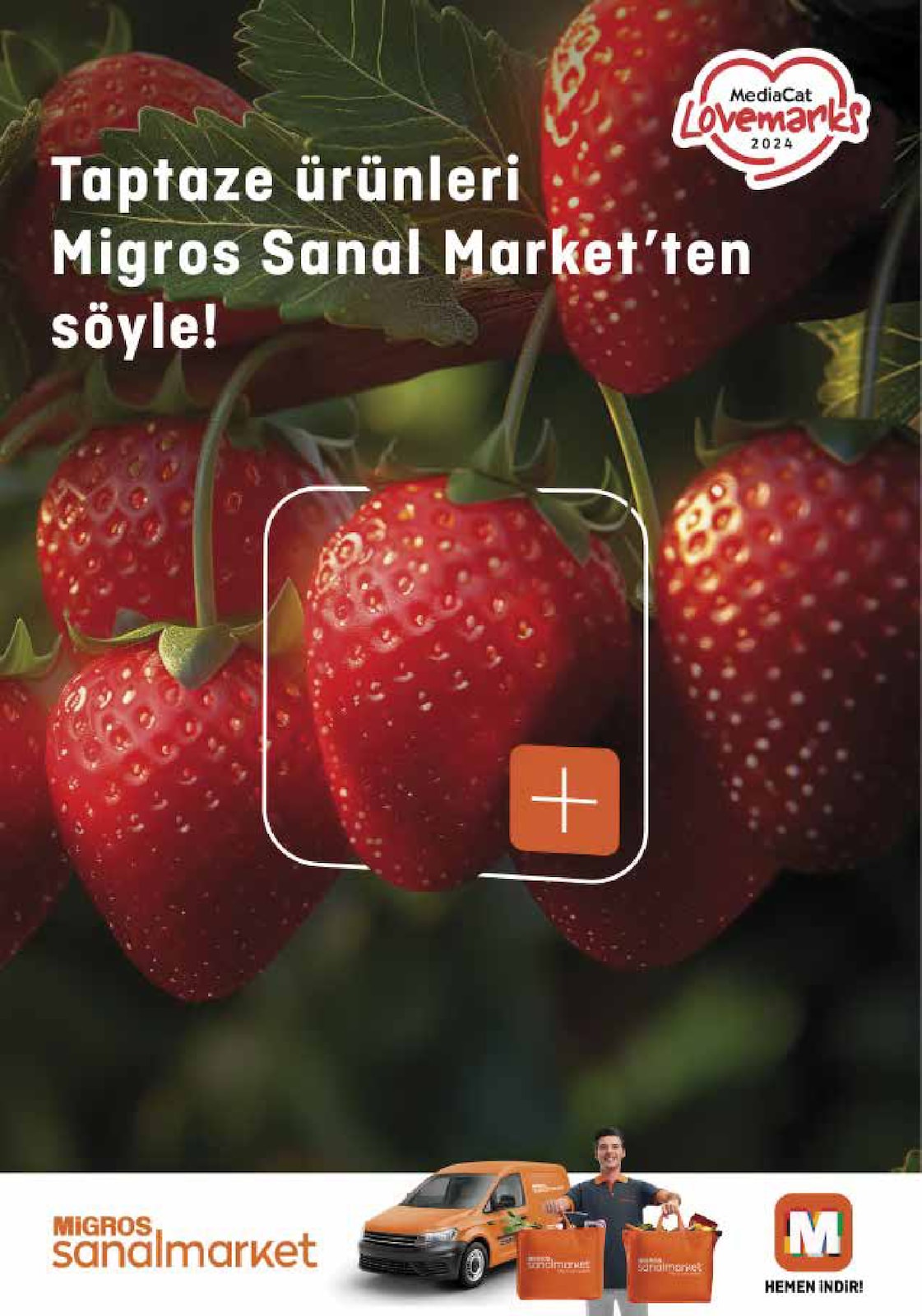 5M Migroskop Ürünleri - Sayfa 61