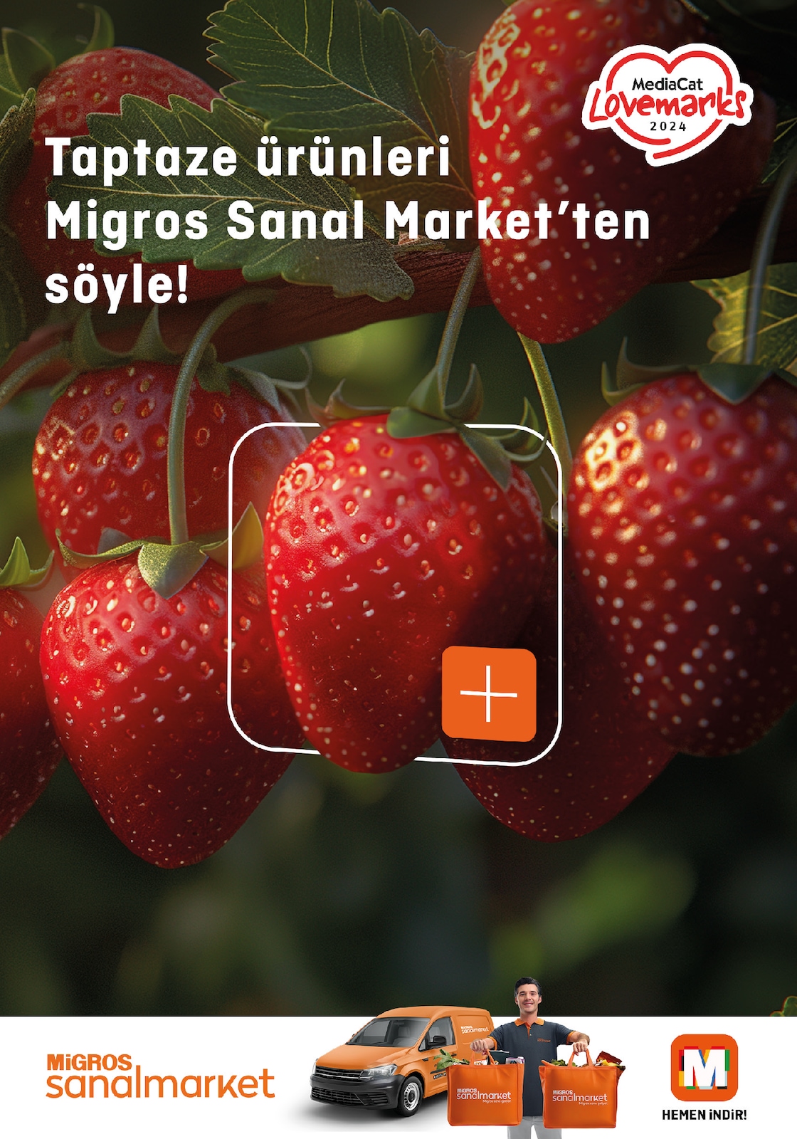 Migroskop Broşürü - Sayfa 98