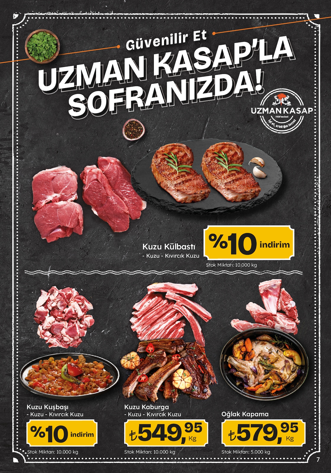 Migroskop Broşürü - Sayfa 7