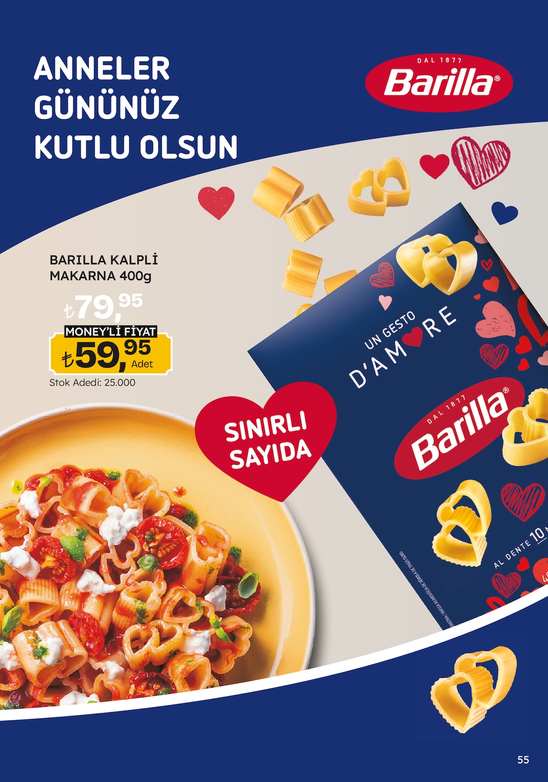 Migroskop Broşürü - Sayfa 55