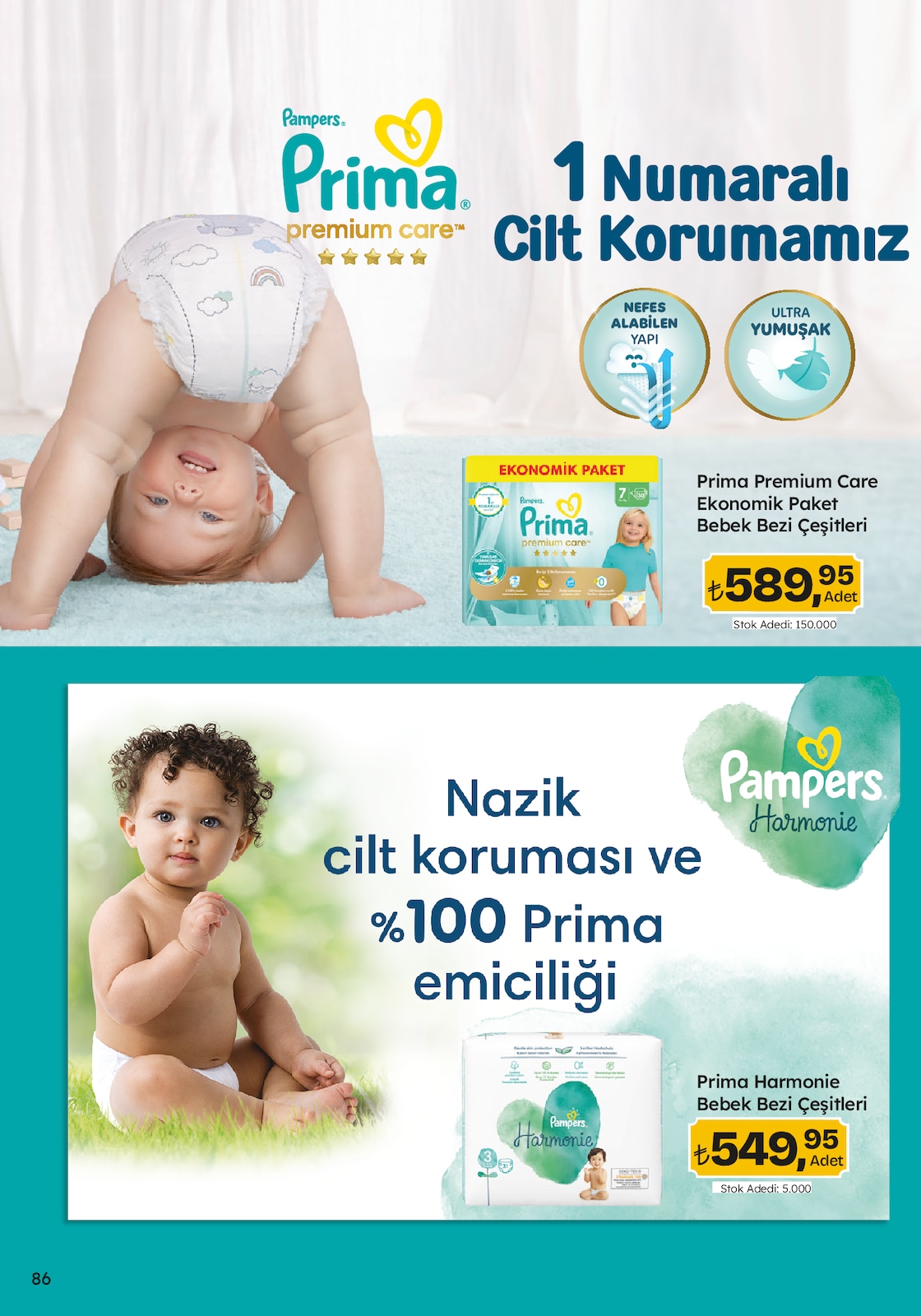 Migroskop Broşürü - Sayfa 86