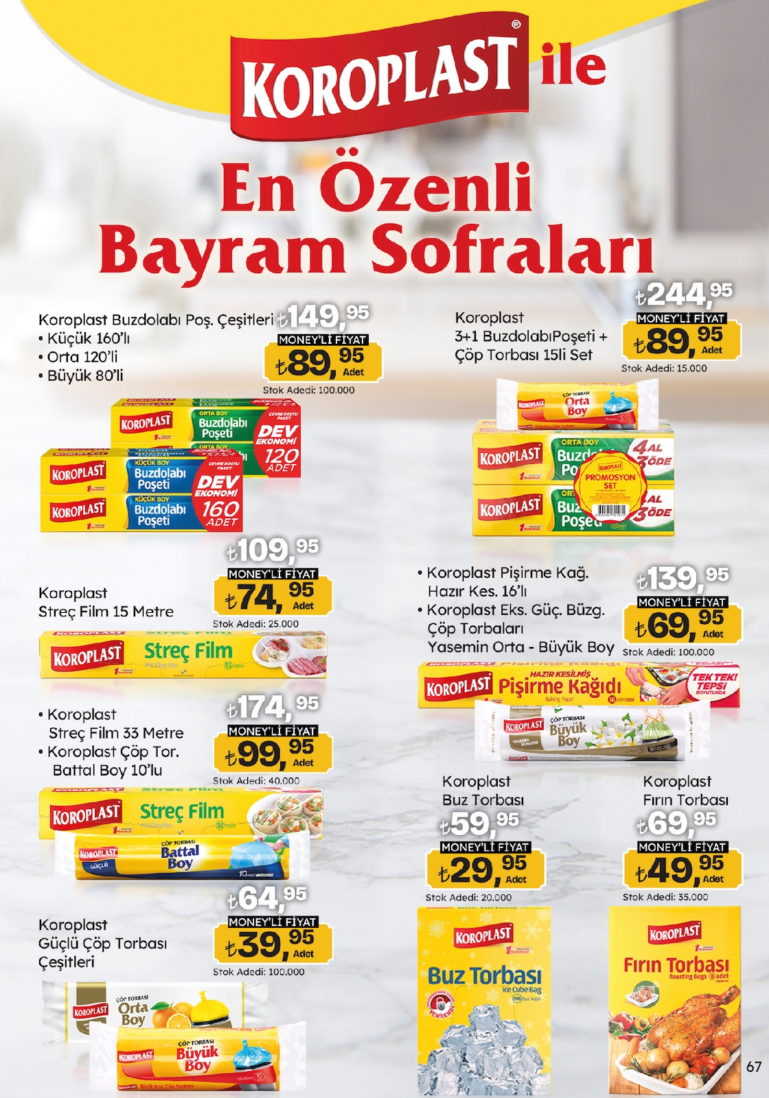 Migroskop Broşürü - Sayfa 67