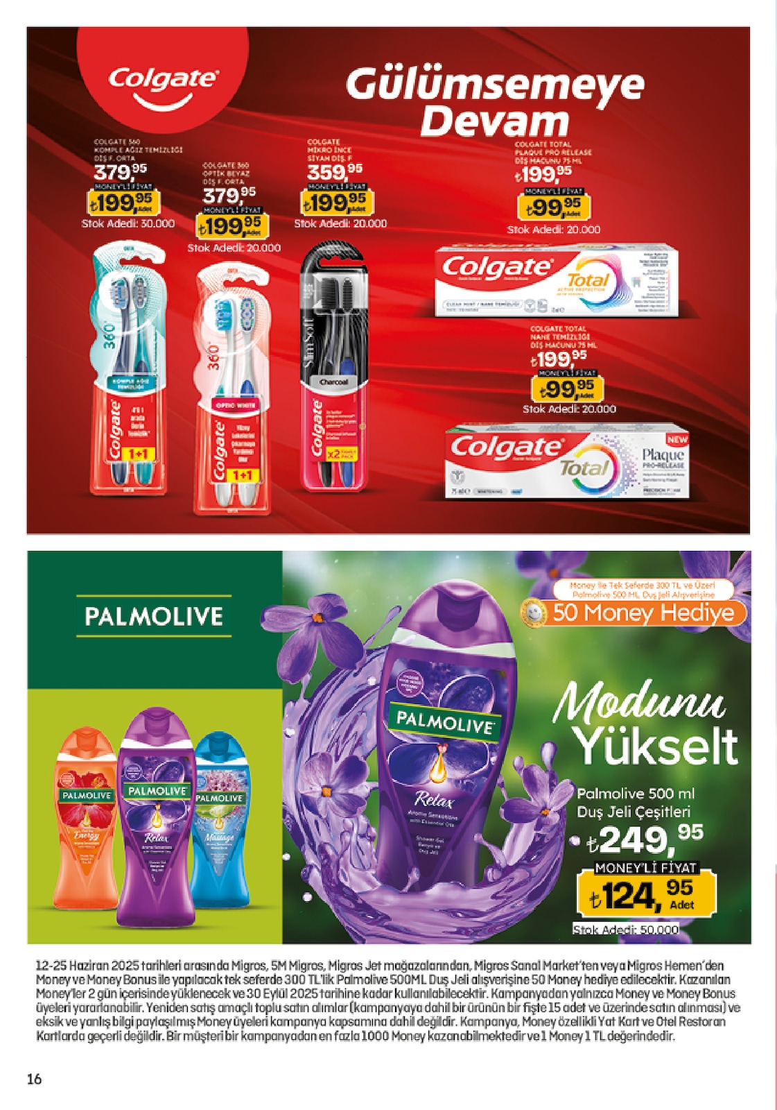 Migroskop Broşürü - Sayfa 16
