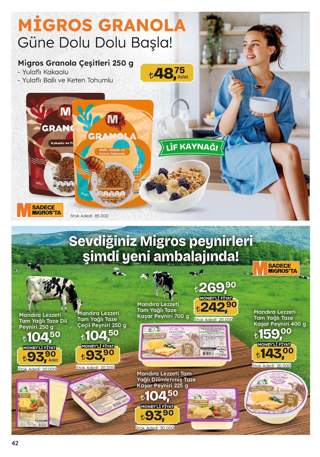 Migroskop Broşürü - Sayfa 42