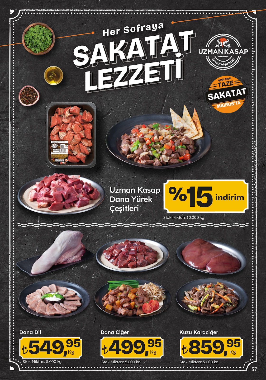 Migroskop Broşürü - Sayfa 37