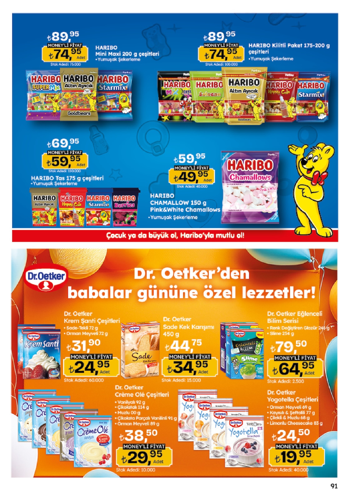Migroskop Broşürü - Sayfa 91