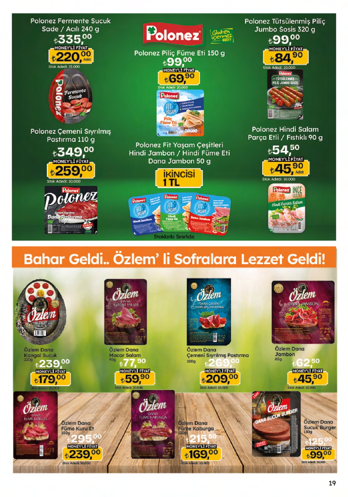 5M Migroskop Broşürü - Sayfa 19