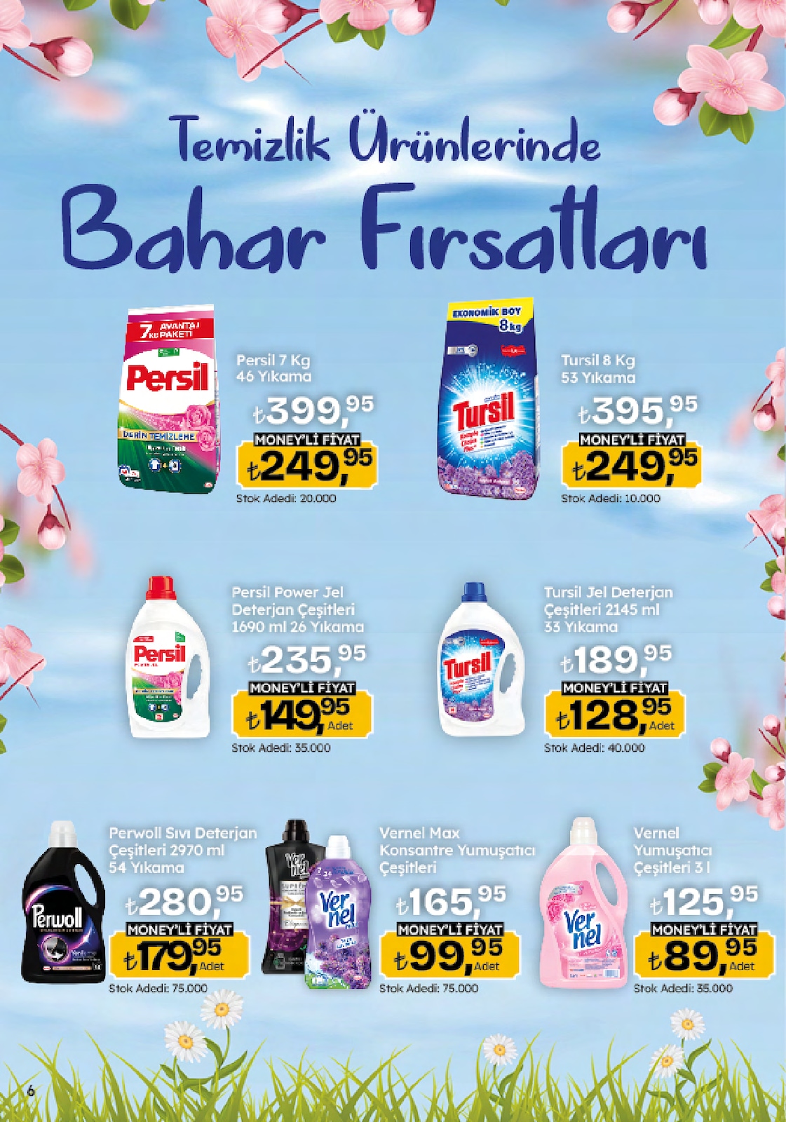 5M Migroskop Broşürü - Sayfa 6