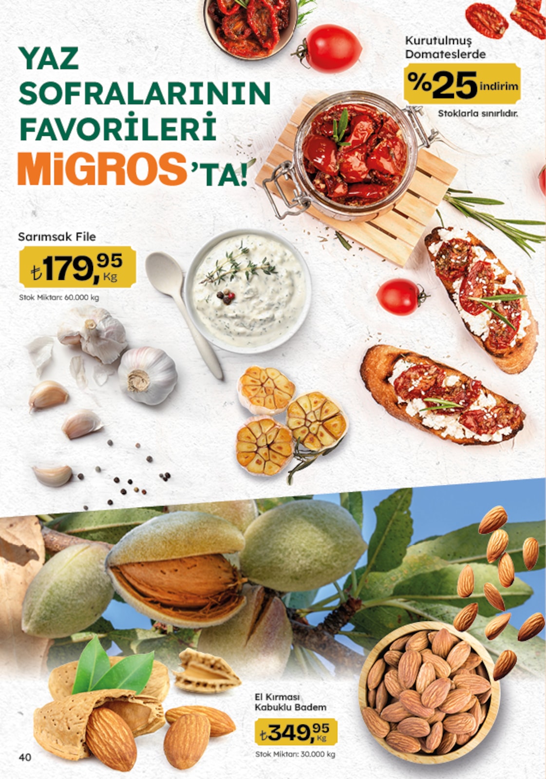 Migroskop Broşürü - Sayfa 40