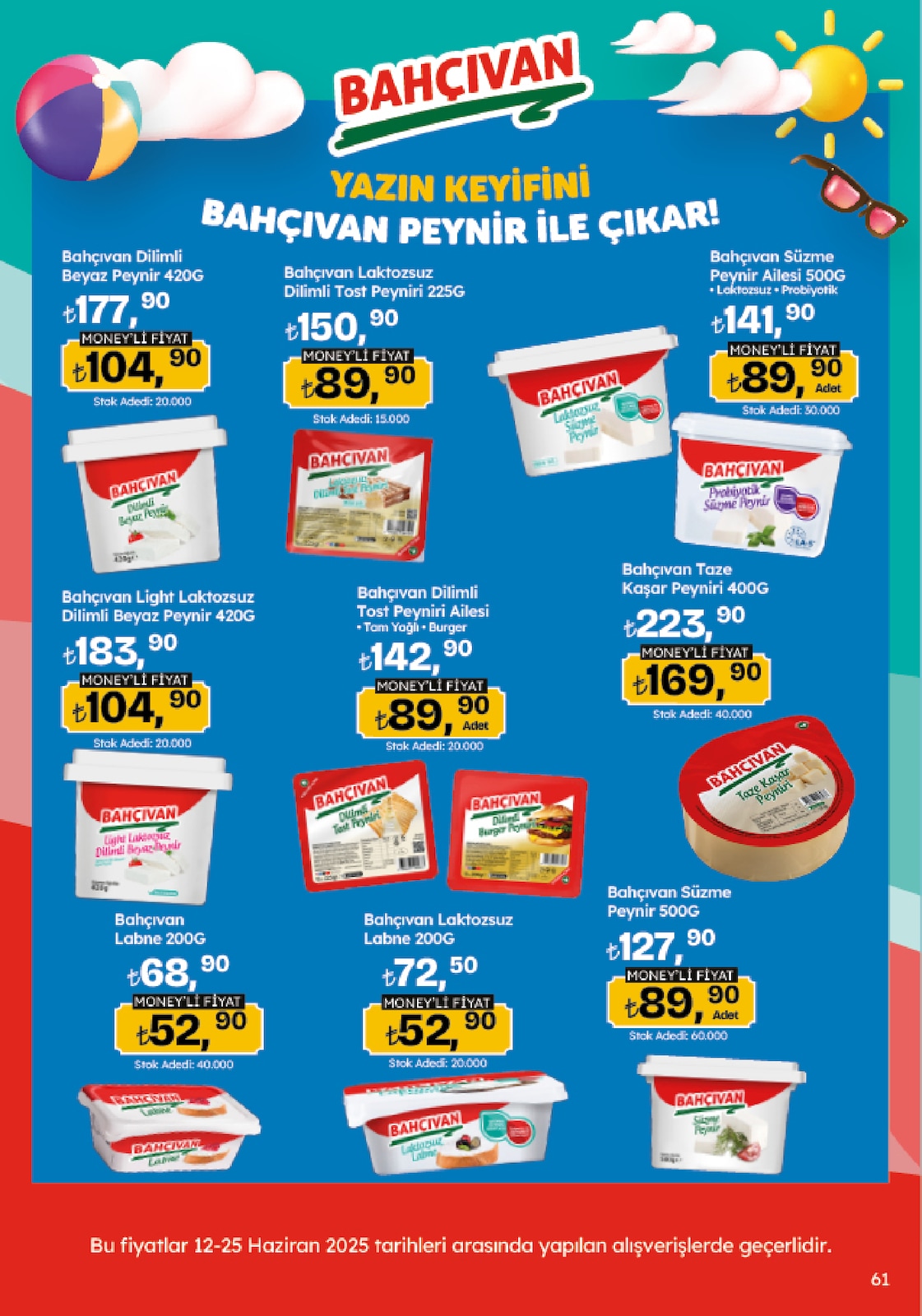 Migroskop Broşürü - Sayfa 61