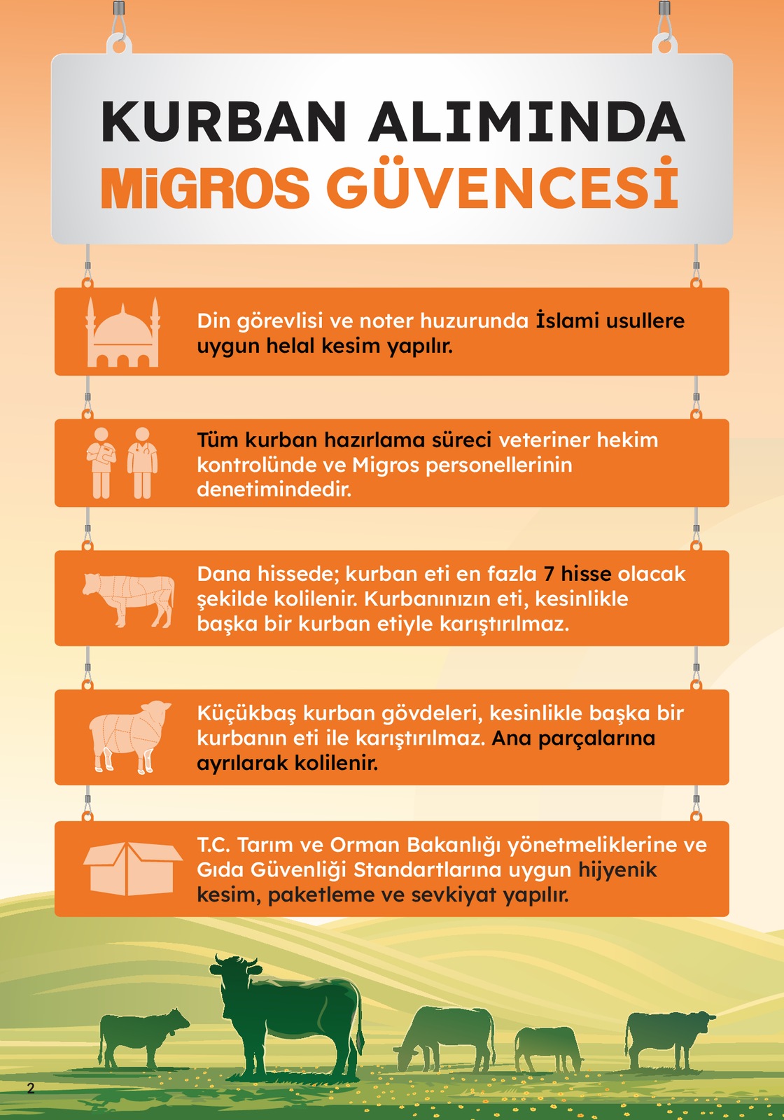 Migroskop Ürünleri - Sayfa 2