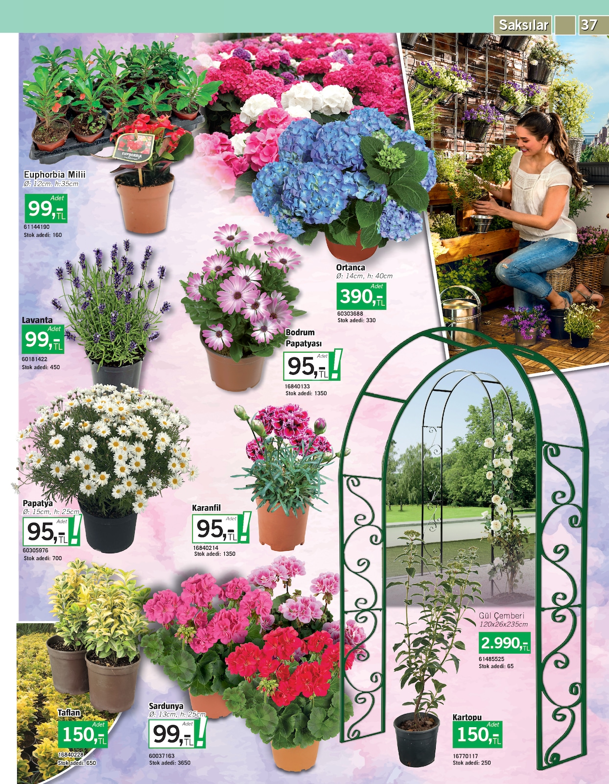 Bahçe Broşürü - Sayfa 37