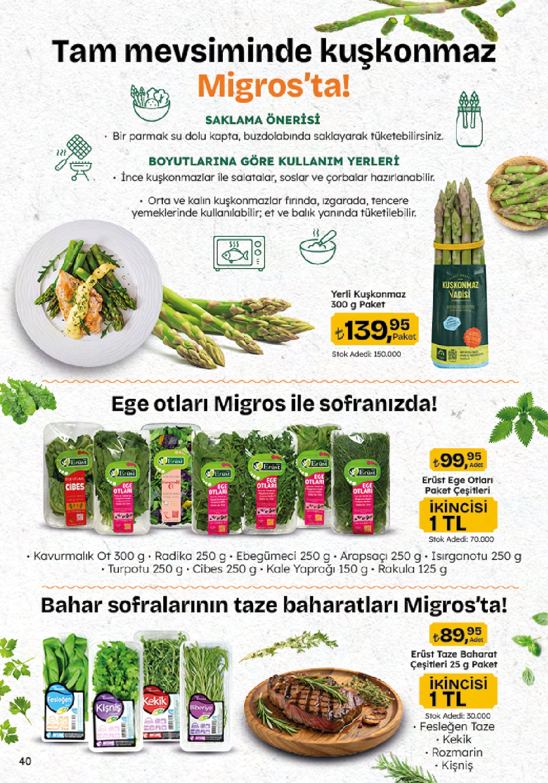 5M Migroskop Broşürü - Sayfa 40