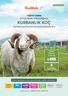 Bursa - Kurbanlık Broşürü